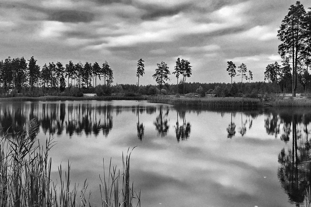 Photograph by Татьяна Бравая