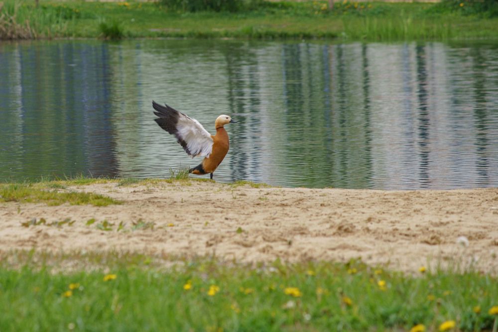 Photograph by Pavel Morozov