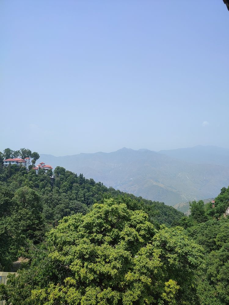 The place where dreams come true.