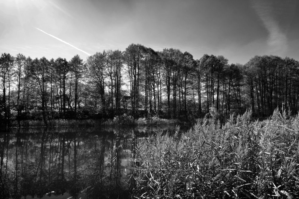 Photograph by Sветлана Афонина