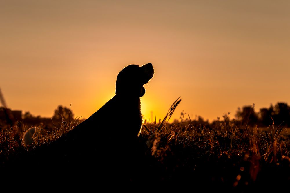 Photograph by Пирожков Александр