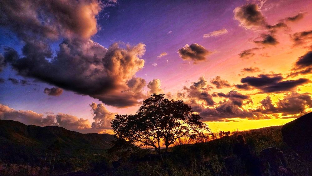 Фотография автора Cláudia Maria Fialho Garcia