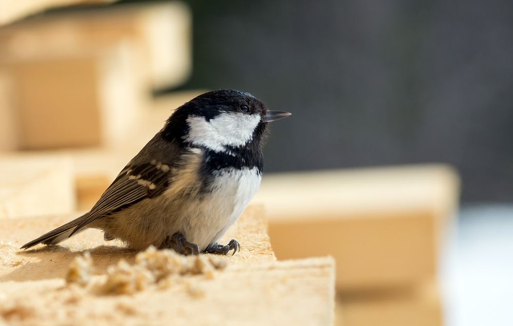 Photograph by Виктор Петров