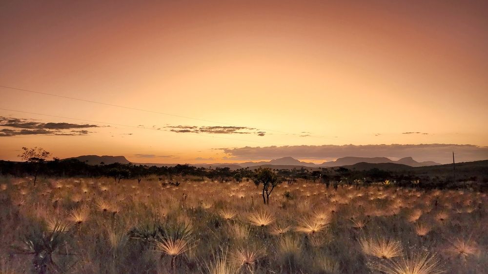 Фотография автора Cláudia Maria Fialho Garcia