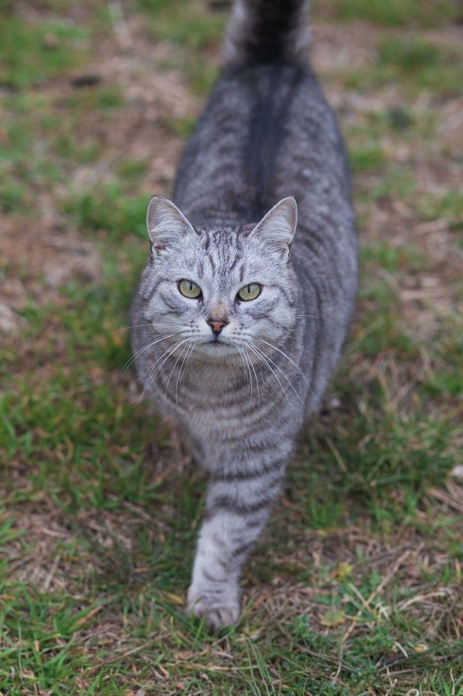 Photograph by Vladimir Soroka