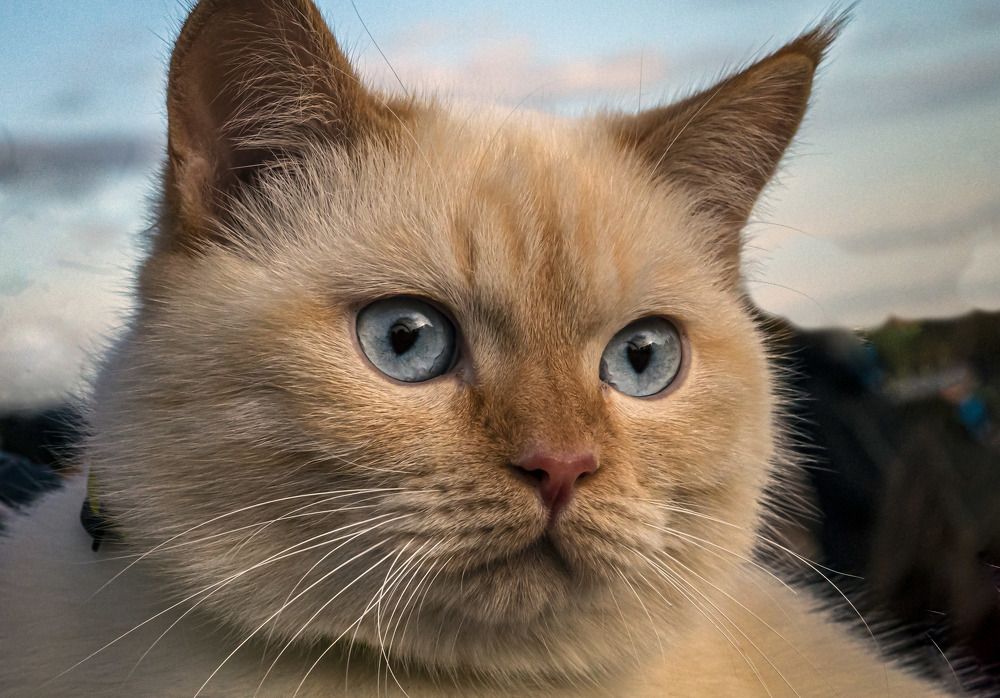 Photograph by Ирина Федорова