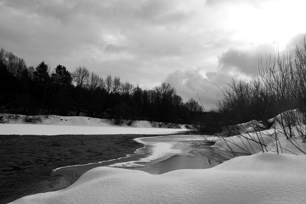 Photograph by Sветлана Афонина