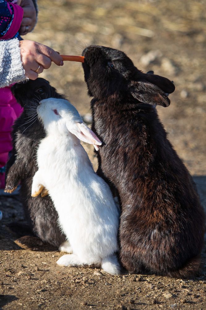 Photograph by Vladimir Soroka