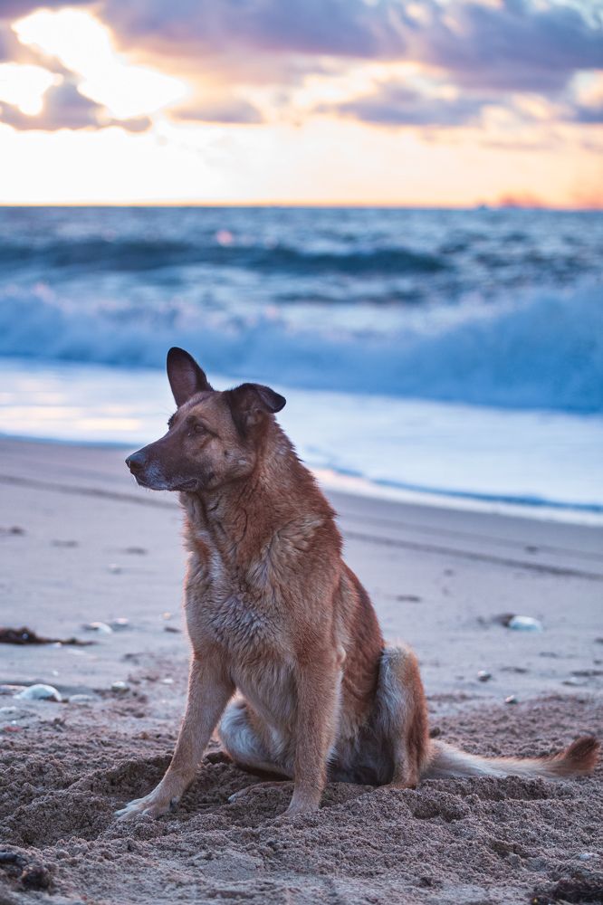 Photograph by Vladimir Soroka