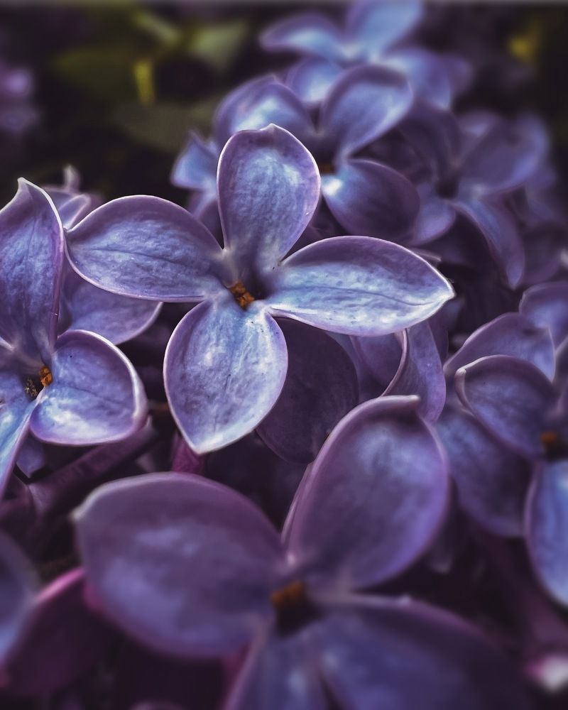 Photograph by 