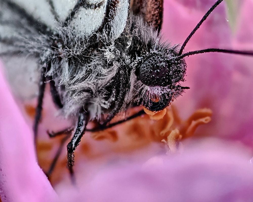 Photograph by Дмитрий Кузнецов