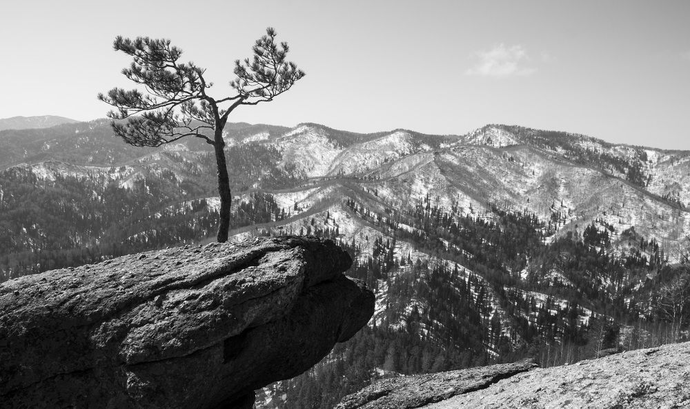 Photograph by Anna Gapanovich