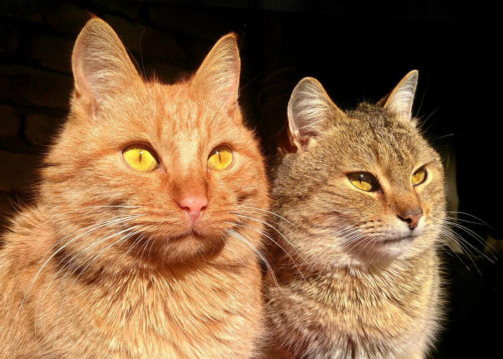 Photograph by Павел Колеснев