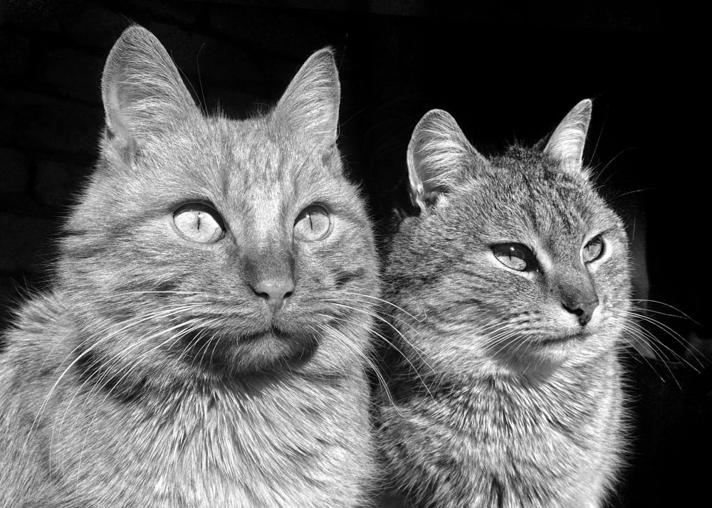 Photograph by Павел Колеснев