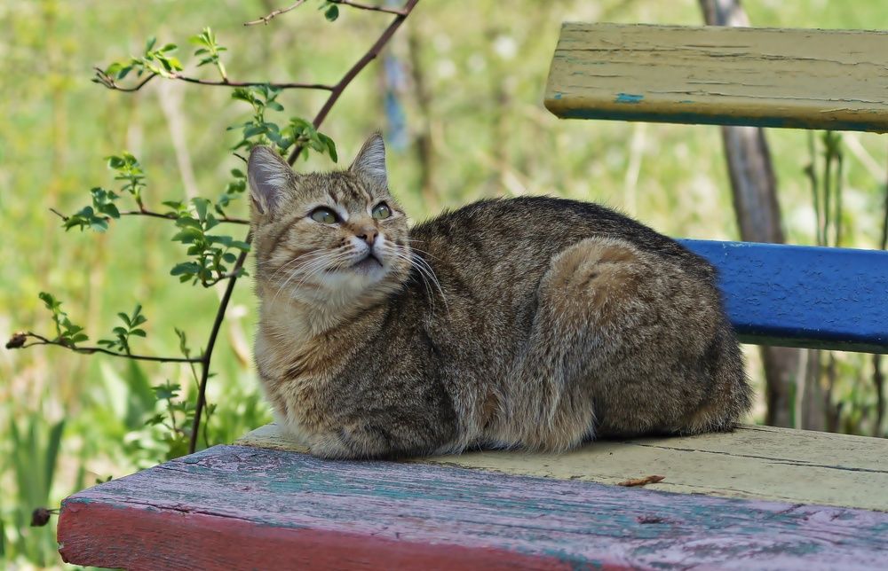 Photograph by Oleg Kabanets