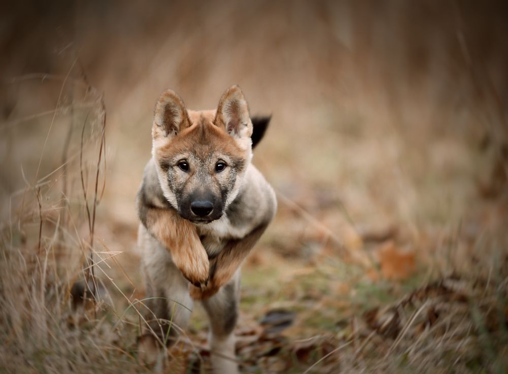 Photograph by Коптилина Галина