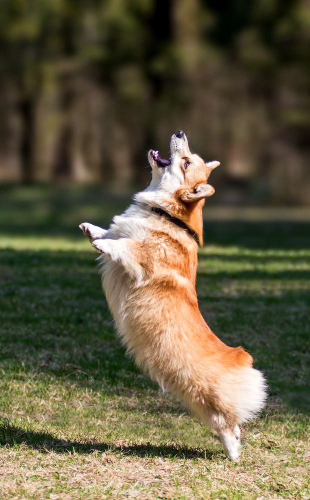 Photograph by Коптилина Галина