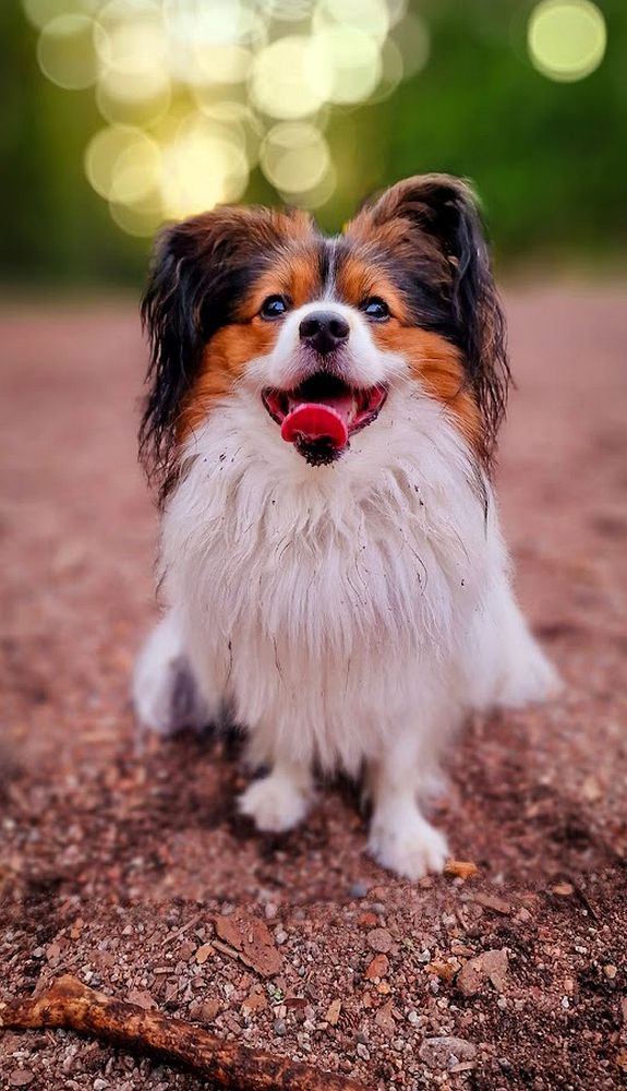 Photograph by Epp Tappel