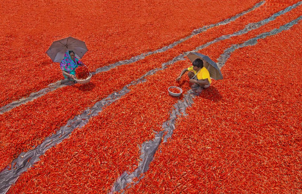 Photograph by Shampa Bhowmik