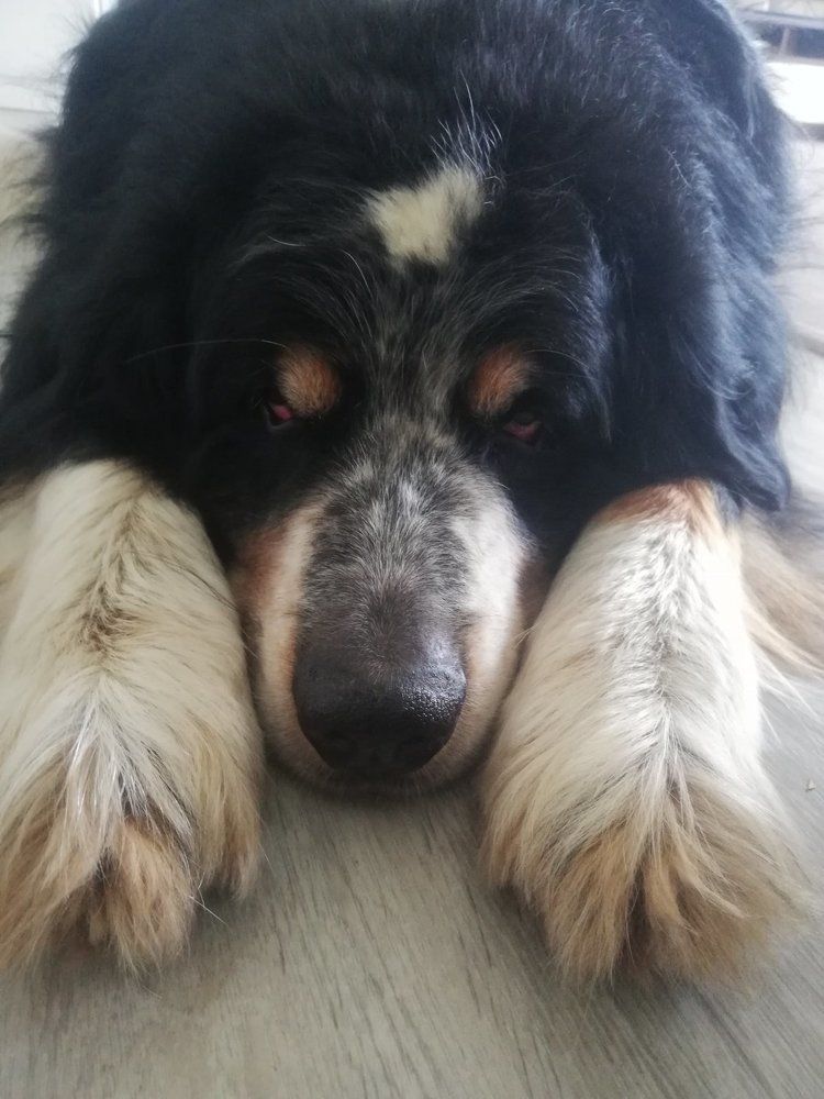 Photograph by Елена Любимцева