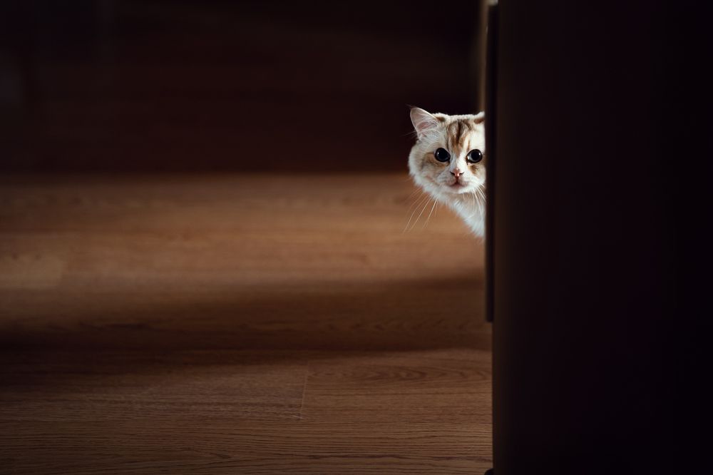 Photograph by Дарья Гурьева