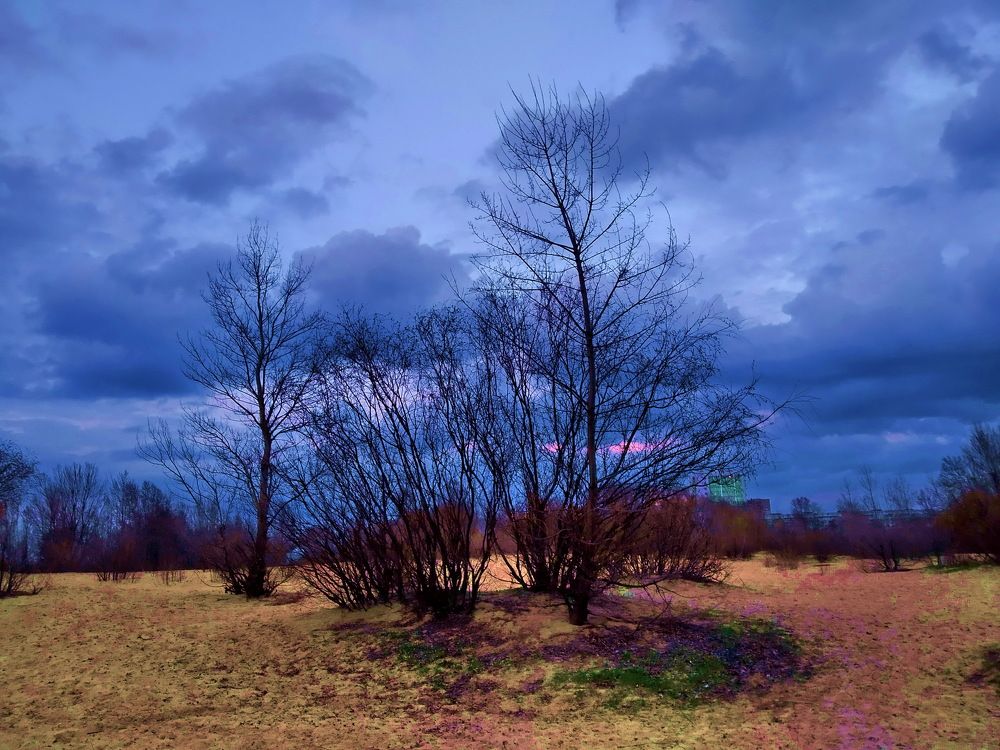 Photograph by Владимир Подкуйко