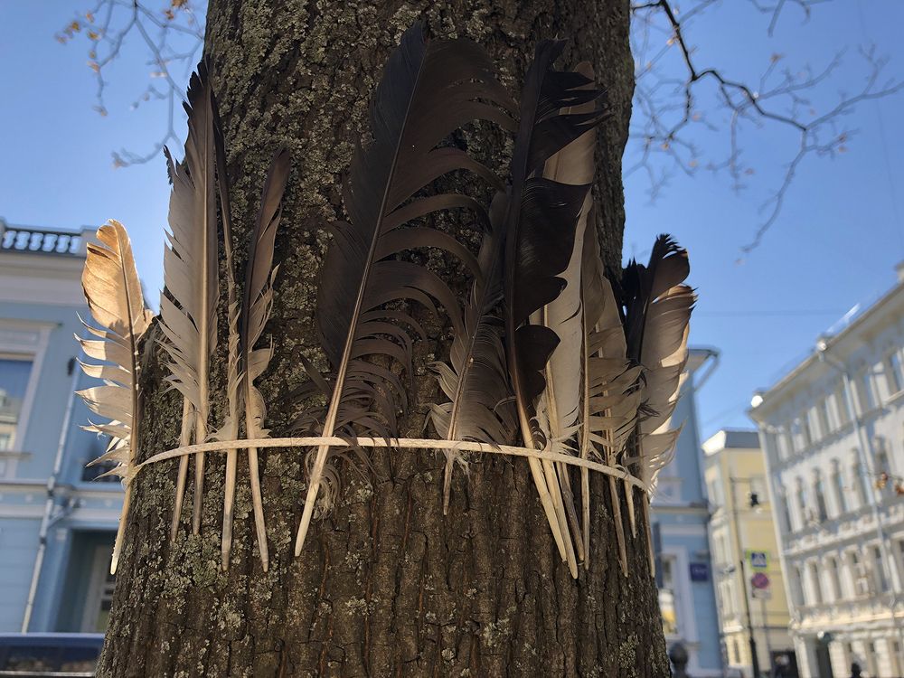 Photograph by Ольга Шуть