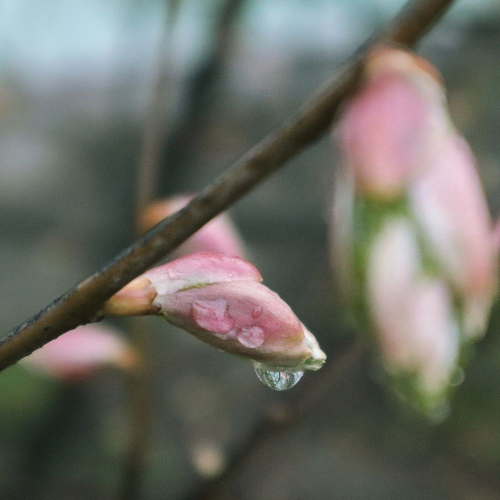 Photograph by Ирина