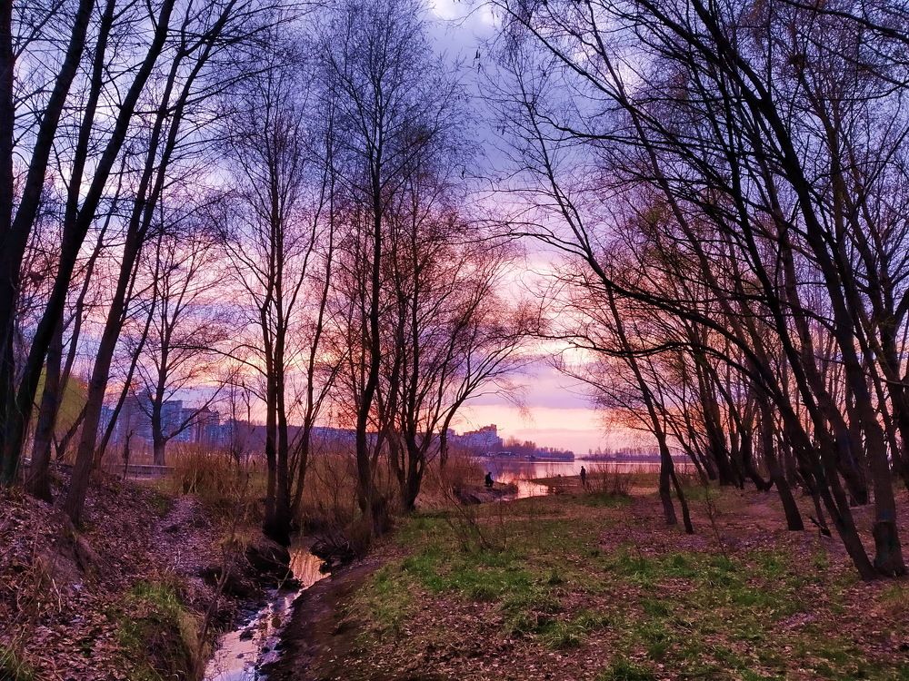 Photograph by Владимир Подкуйко