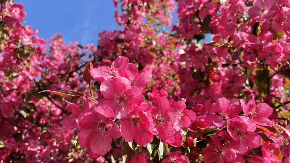 Photograph by Елизавета Большакова