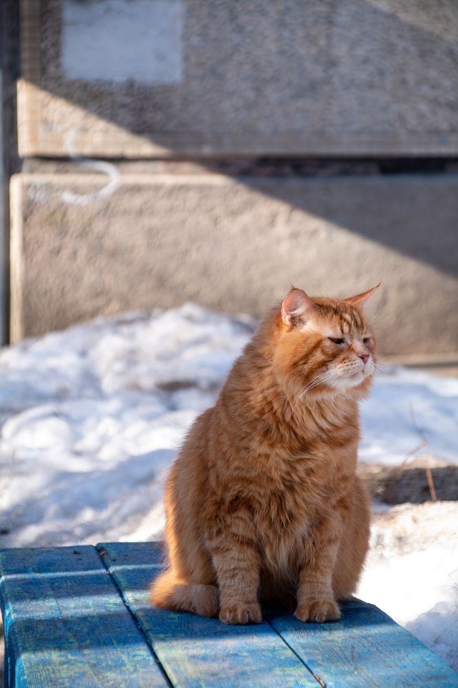 Photograph by Никита Серебряков