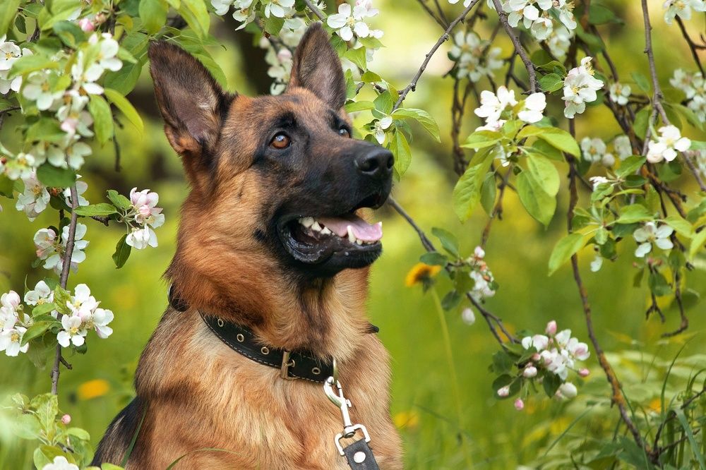 Photograph by Любовь Головина