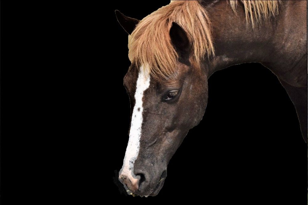 Photograph by Rajeev Sinha