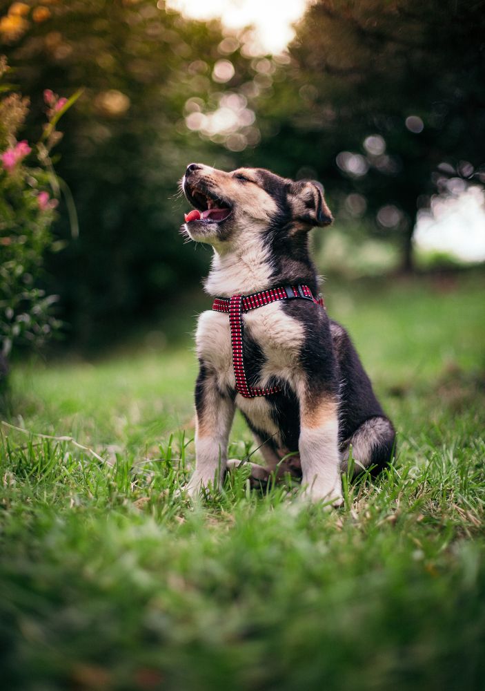 Photograph by Demir Pepic