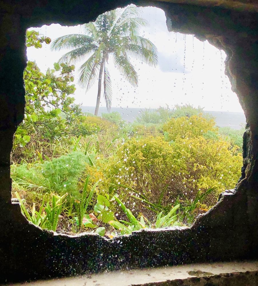 Photograph by Bárbara Iglesias