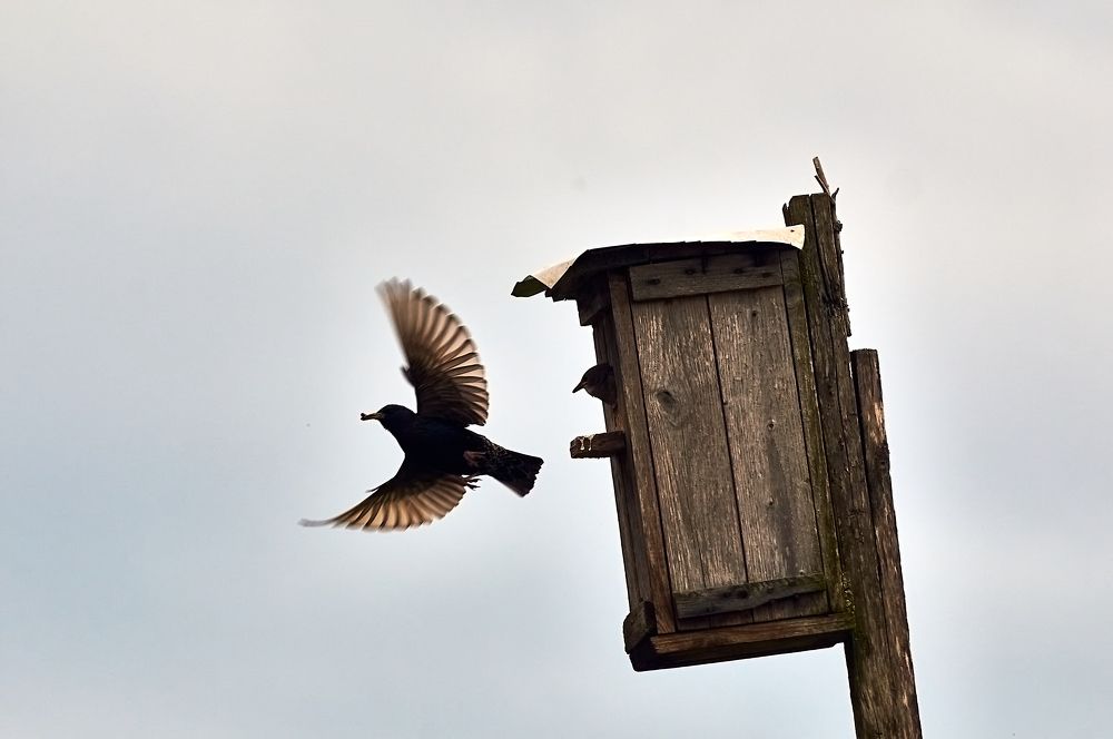 Photograph by Андрей Мольков