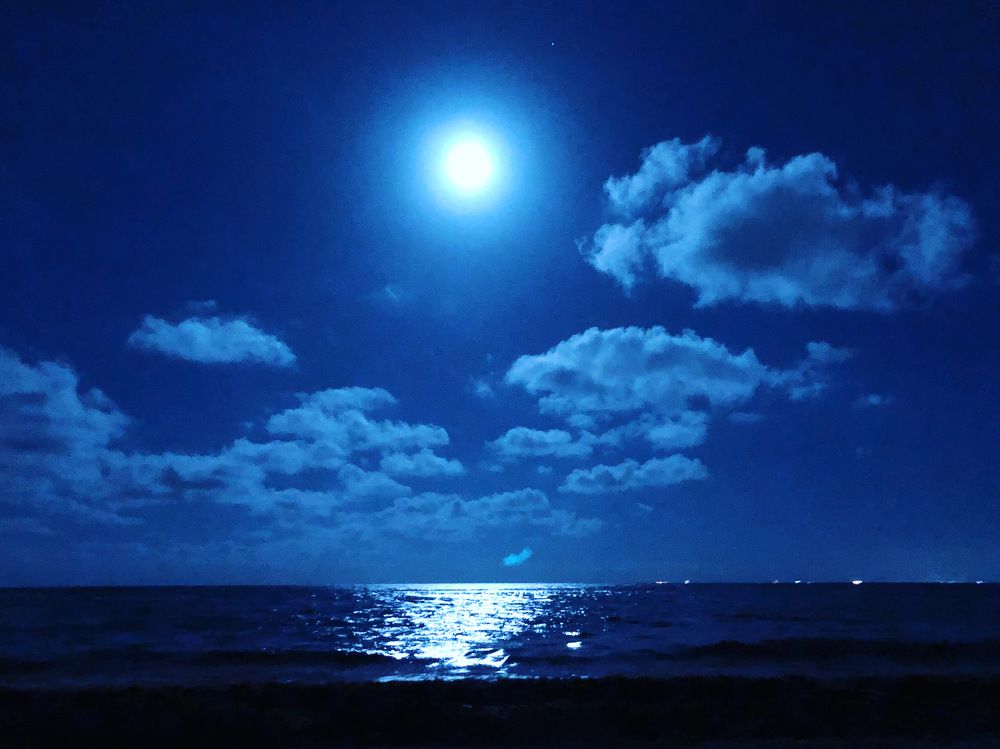 Photograph by Bárbara Iglesias