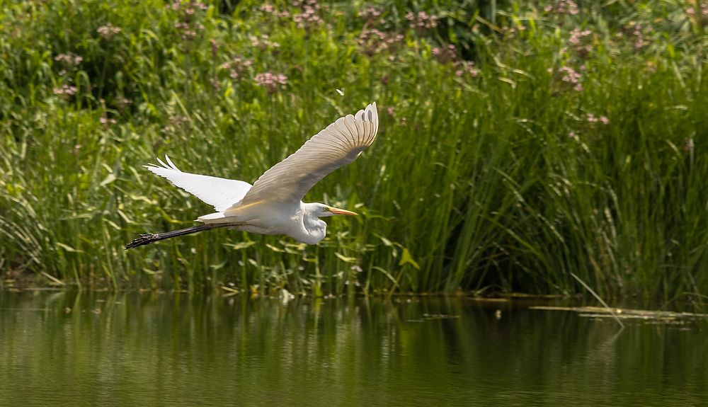 Photograph by Александр Есликов