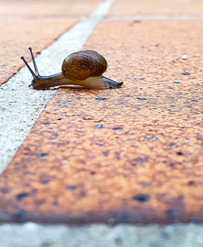 Photograph by Юлия Мавлютова