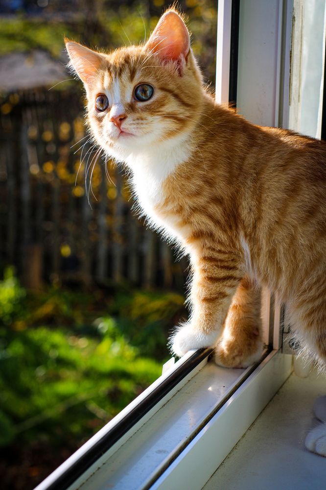 Photograph by Светлана Солдатченкова