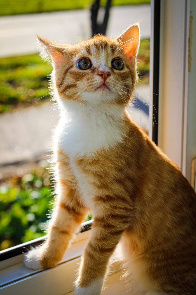 Photograph by Светлана Солдатченкова