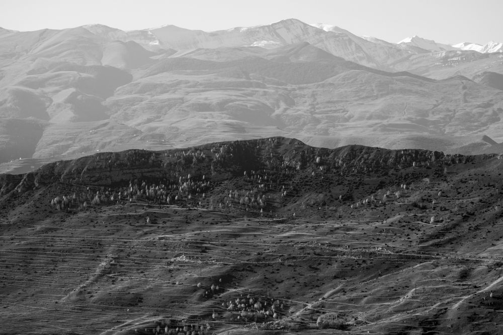 Photograph by Михаил Серебренников