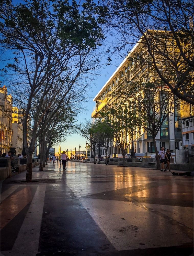 Photograph by Juan Carlos Molina Montes de Oca