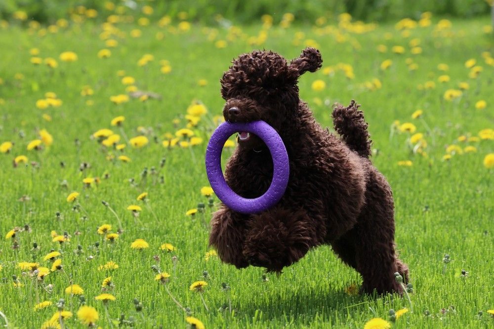 Photograph by Илья Пономарев