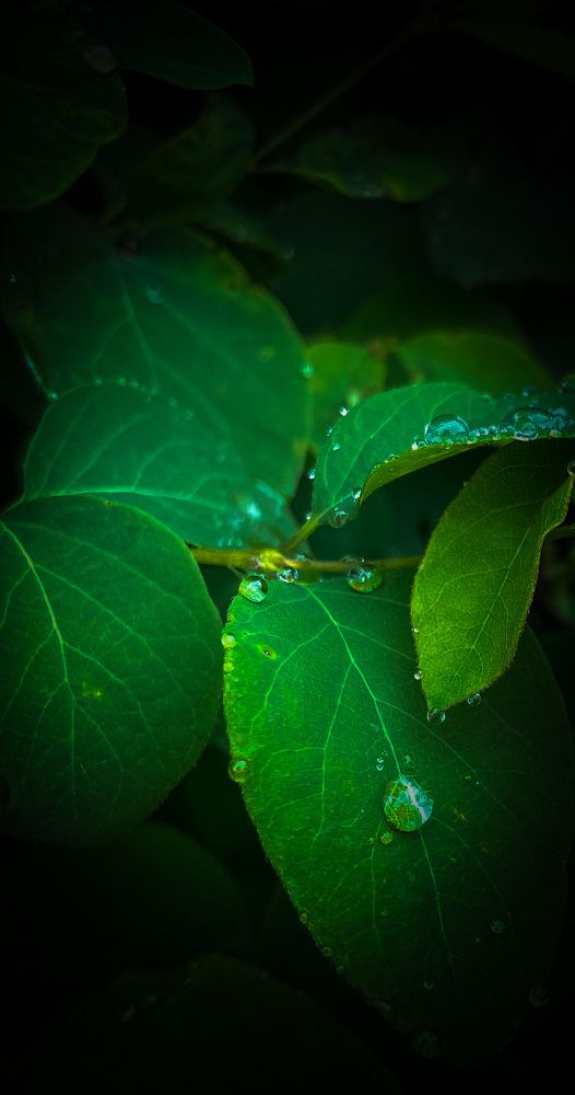 Photograph by Мария Сазонова