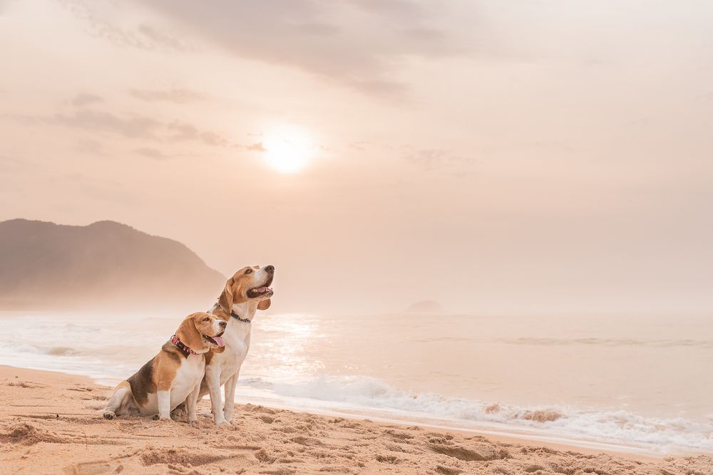 Photograph by Daiane Moraes