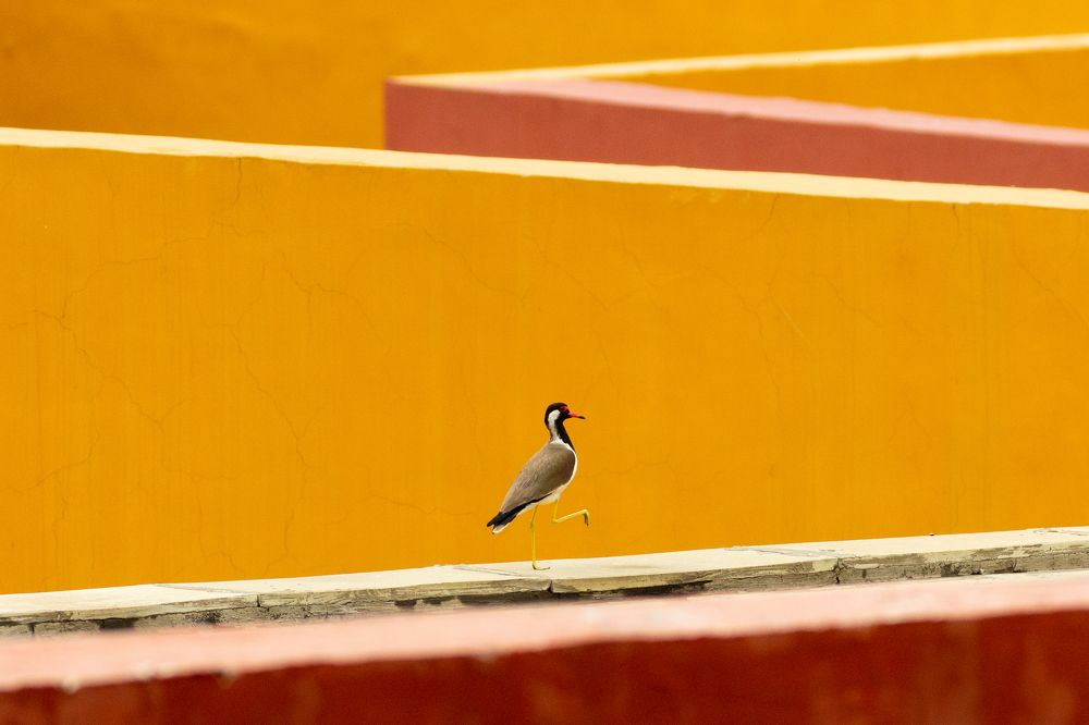 Photograph by Jayaprakash M