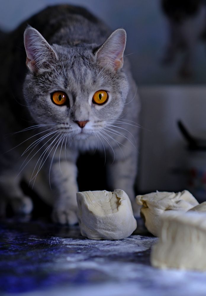 Photograph by Диана Арье