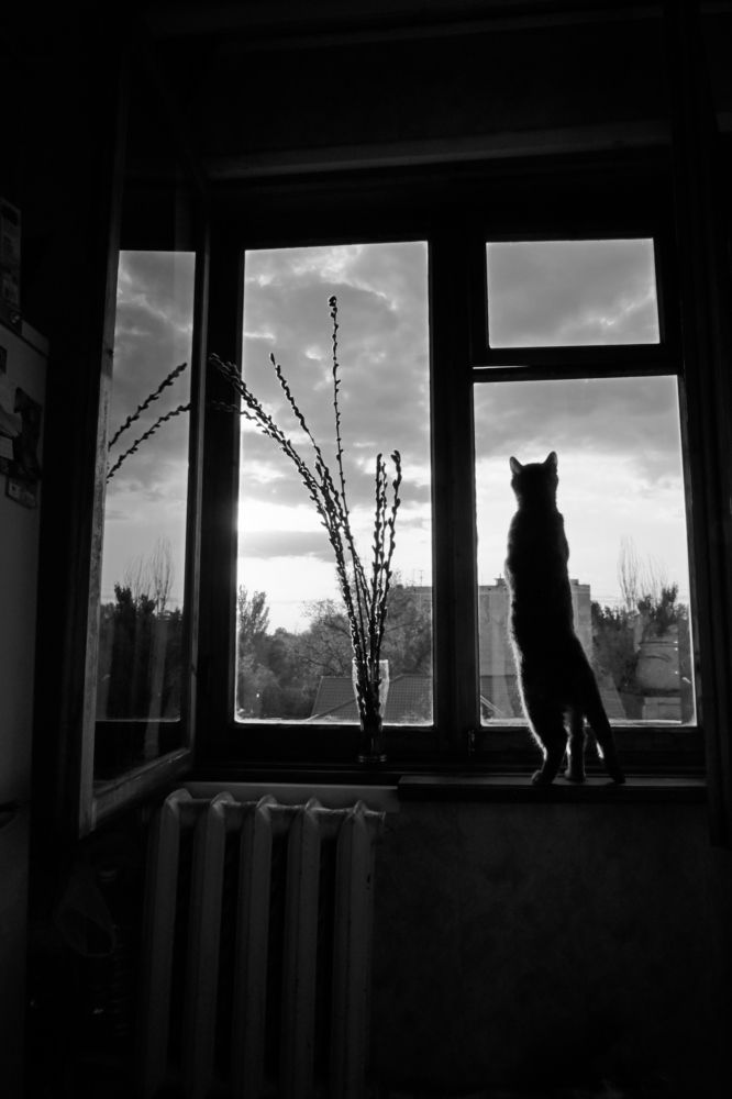 Photograph by Диана Арье