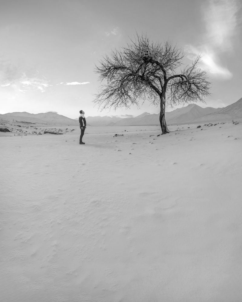 Photograph by majid arab